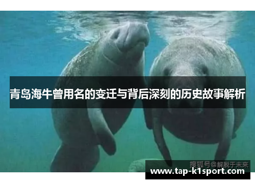 青岛海牛曾用名的变迁与背后深刻的历史故事解析