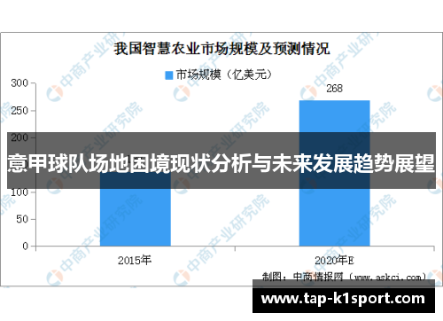 意甲球队场地困境现状分析与未来发展趋势展望