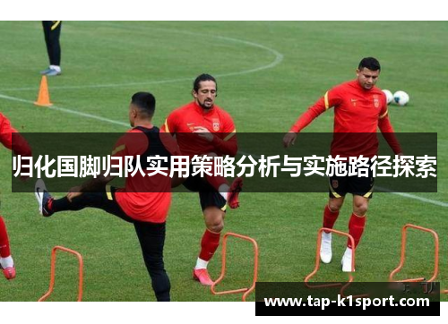 归化国脚归队实用策略分析与实施路径探索