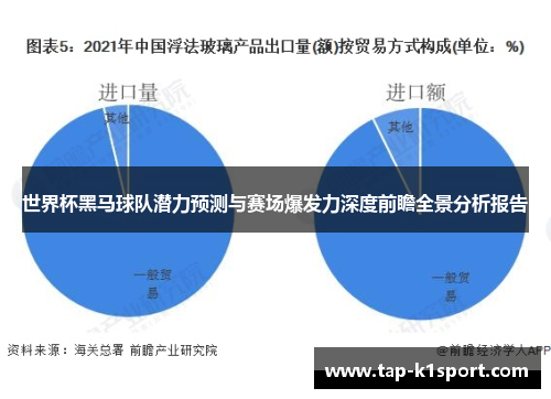 世界杯黑马球队潜力预测与赛场爆发力深度前瞻全景分析报告